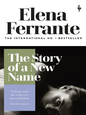 cover image of The Story of a New Name